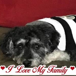 Meet your Posher, Maria